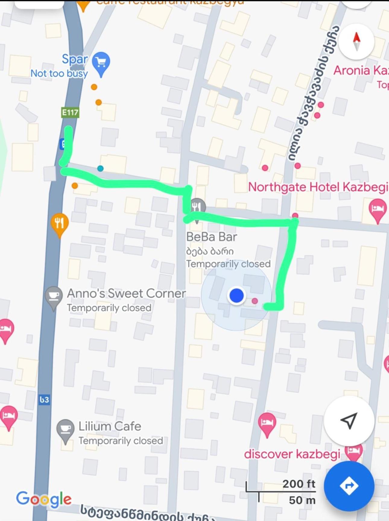 Guest House Chavchavadze N23 كازباجي المظهر الخارجي الصورة
